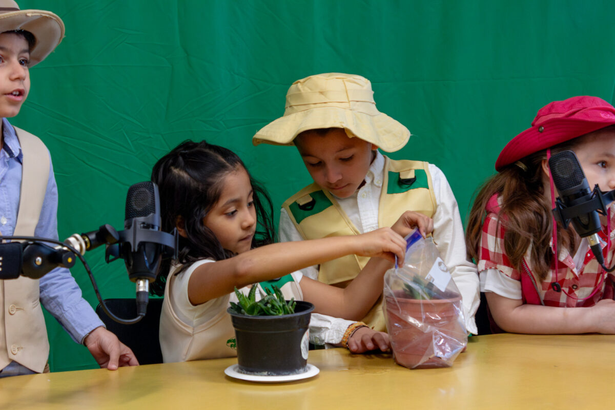 7_Slideshow Proyectos