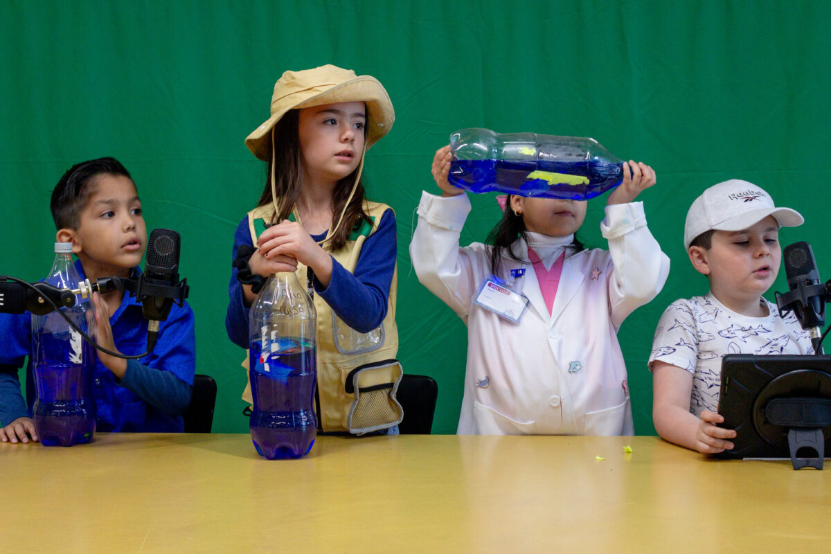 8_Slideshow Proyectos